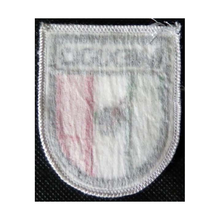 MILITARIA : insigne tissu Mexico de dimension 5,5 cm x 6,5 cm