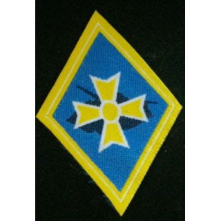 1°BM : 1°BRIGADE MÉCANISÉE