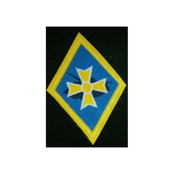 1°BM : 1°BRIGADE MÉCANISÉE