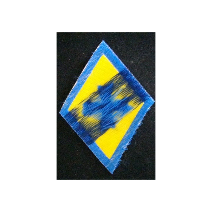 1°BM : 1°BRIGADE MÉCANISÉE
