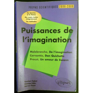 1. Puissance de l'imagination, Malebranche, de l'imagination cervantès, Don Quichotte, Proust, Un amour de Swann