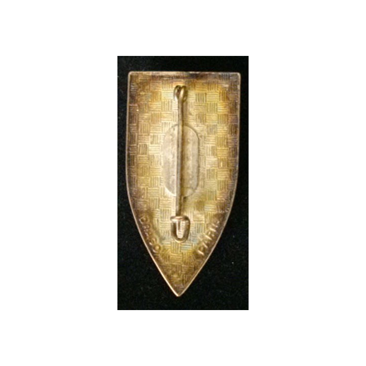 CHASSEURS : insigne du 11° Groupe d'escadrons de chars moyens (GECM) "voilà les bons" de fabrication Drago Paris