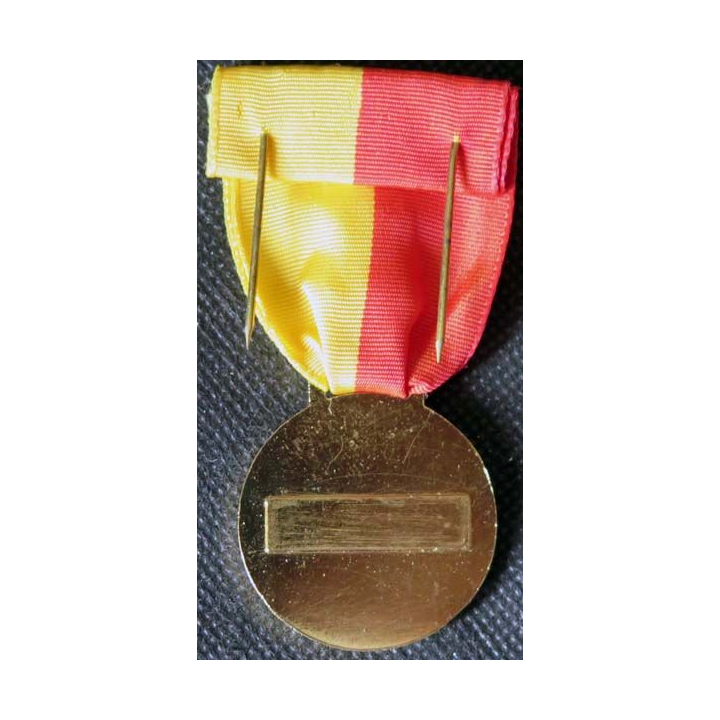 FRANCE : médaille de la légion vosgienne M.A.C échelon or