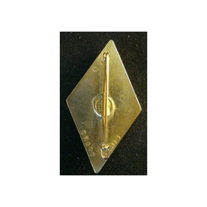 11° régiment de cuirassiers de fabrication Drago 168 insigne Cuirs