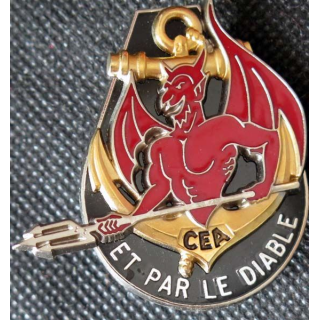 Compagnie d'éclairage et d'appui CEA du 22° régiment infanterie marine