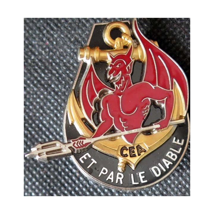 Compagnie d'éclairage et d'appui CEA du 22° régiment infanterie marine