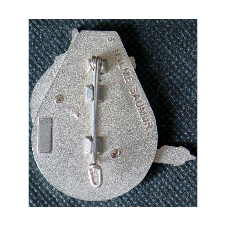 Compagnie d'éclairage et d'appui CEA du 22° régiment infanterie marine