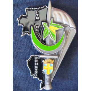 union nationale des parachutistes UNP de Toulon Lieutenant de Peretti