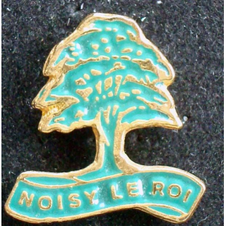 PIN'S VILLE REGIONS : Pin's de Noisy Le Roy