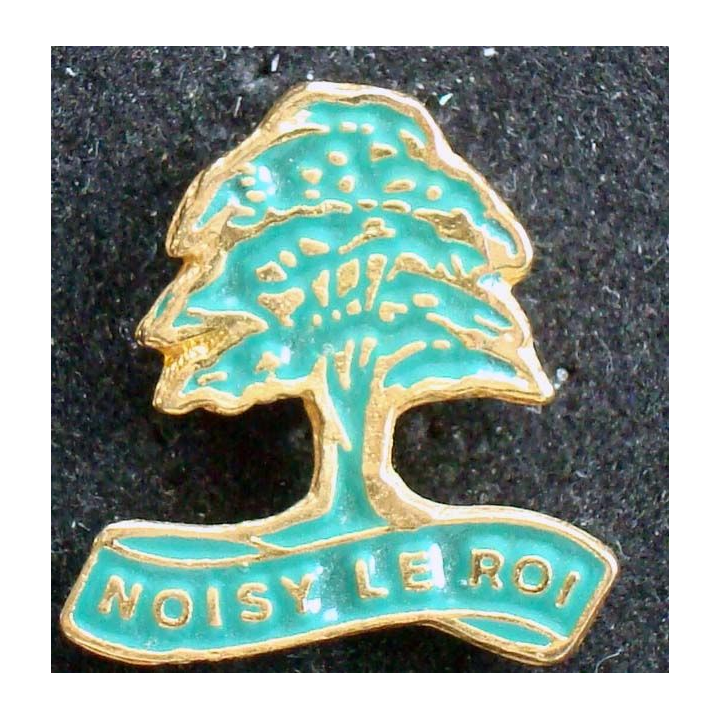 PIN'S VILLE REGIONS : Pin's de Noisy Le Roy