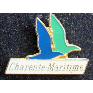 PIN'S VILLE REGIONS : Pin's de Charente Maritime