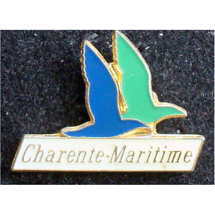 PIN'S VILLE REGIONS : Pin's de Charente Maritime