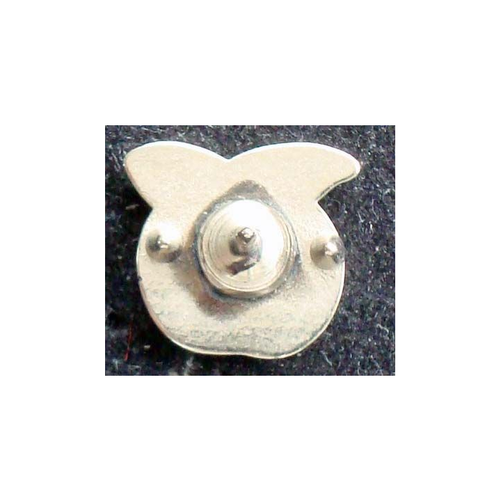PIN'S DIVERS : Pin's pomme bleue et verte