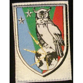 BRENS : insigne tissu de la brigade de renseignement