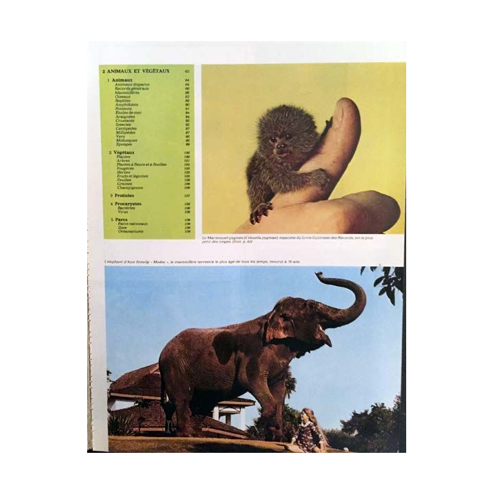1. Le livre Guinnes des Records 1982 de Norris McWhirter