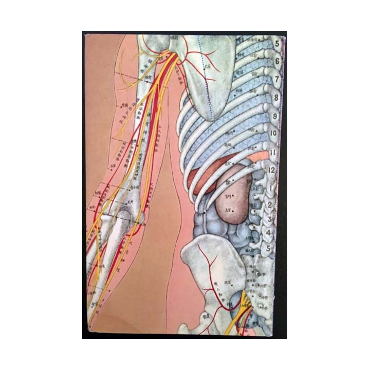 1. Le livre de la santé 19 Médecines parallèles Thermalisme Le médecin et son malade