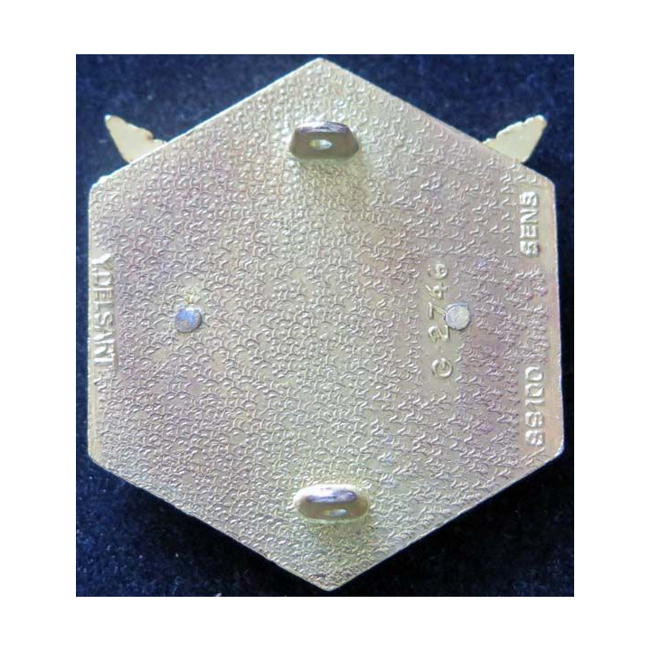 SGM : insigne métallique du service géographique militaire de fabrication Delsart G. 2746