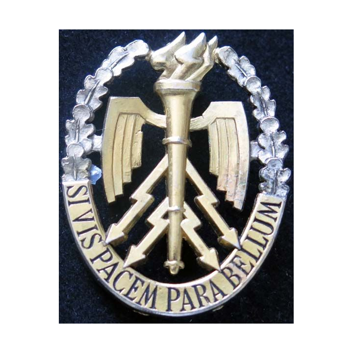 ESG : insigne de l'école supérieure de guerre de fabrication Drago Paris G. 2364