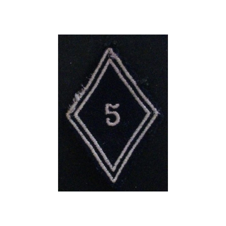 LOSANGE DE BRAS MODÈLE 45 : 5° RD RÉGIMENT DE DRAGONS TROUPE