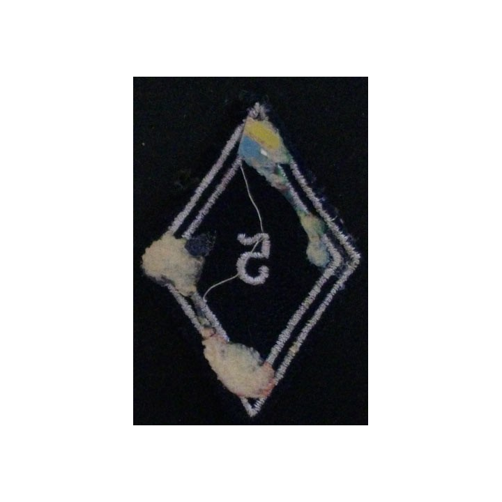 LOSANGE DE BRAS MODÈLE 45 : 5° RD RÉGIMENT DE DRAGONS TROUPE