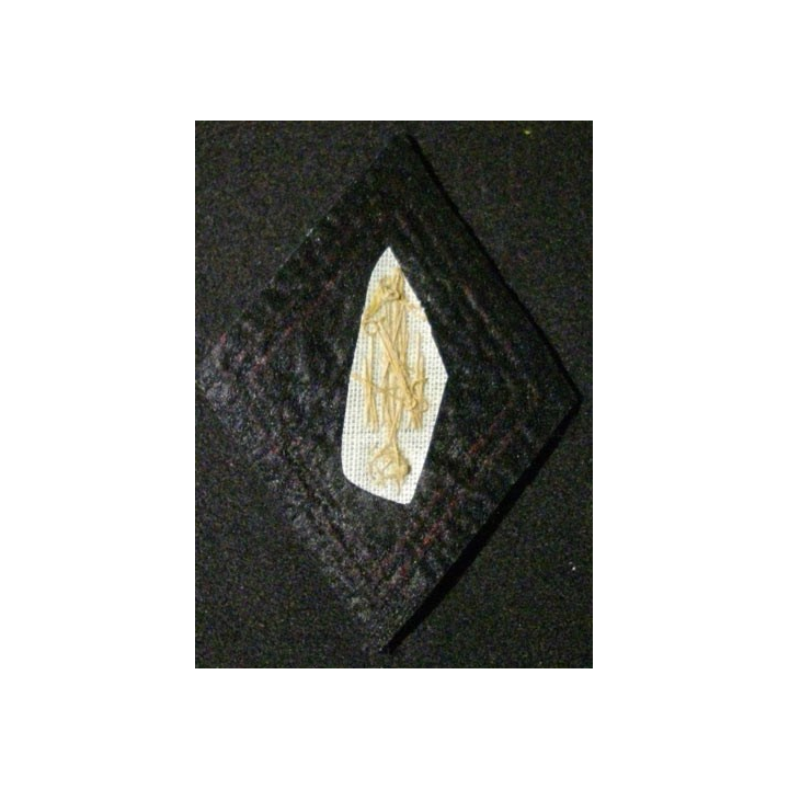 LOSANGE DE BRAS MODÈLE 45 : RÉGIMENT D'INFANTERIE CANNETILLE