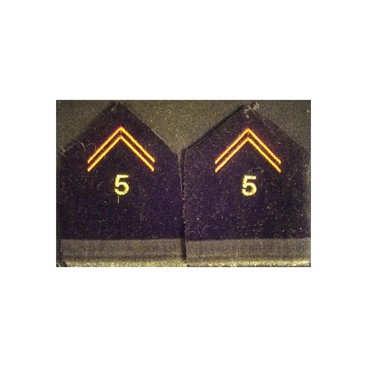 SOUTACHE 5°RÉGIMENT DU GÉNIE LA PAIRE