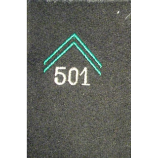 SOUTACHE 501° RCC CADRE NON DECOUPÉE