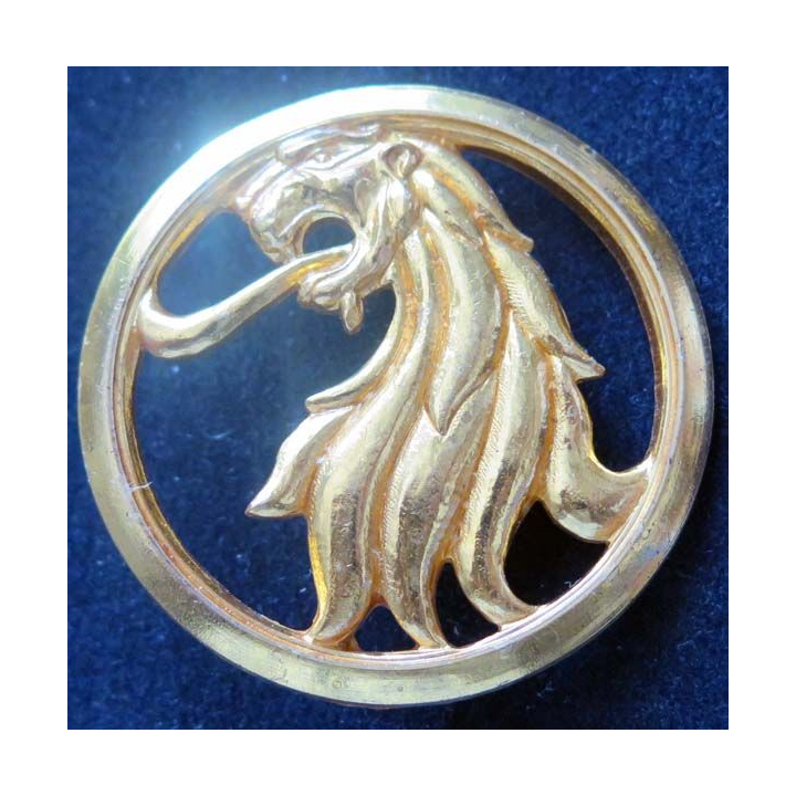 INSIGNE DE BÉRET