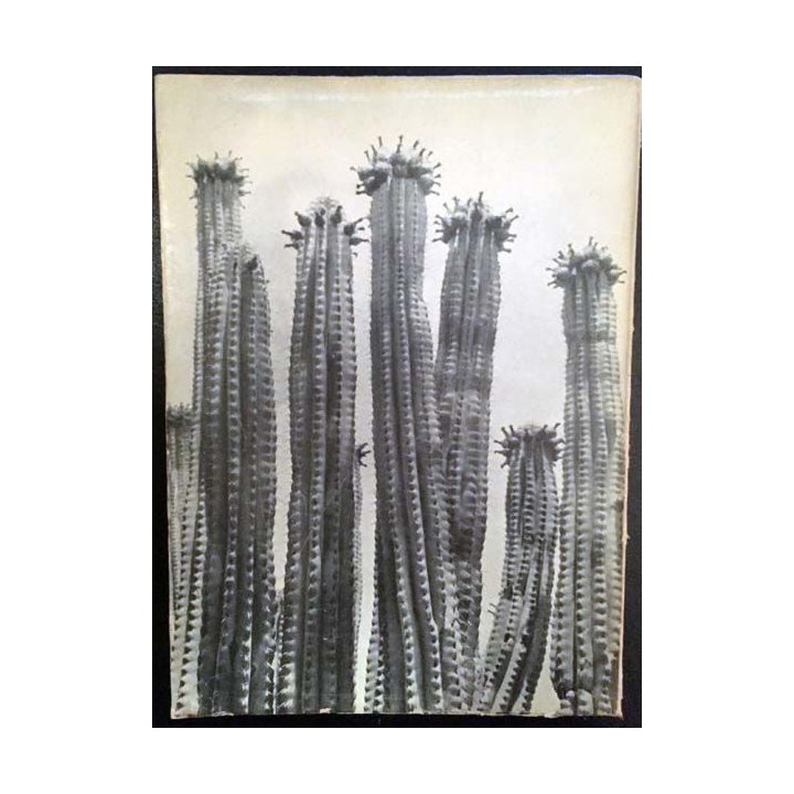 1. Mexique de Pierre Verger aux éditions Paul Hartmann