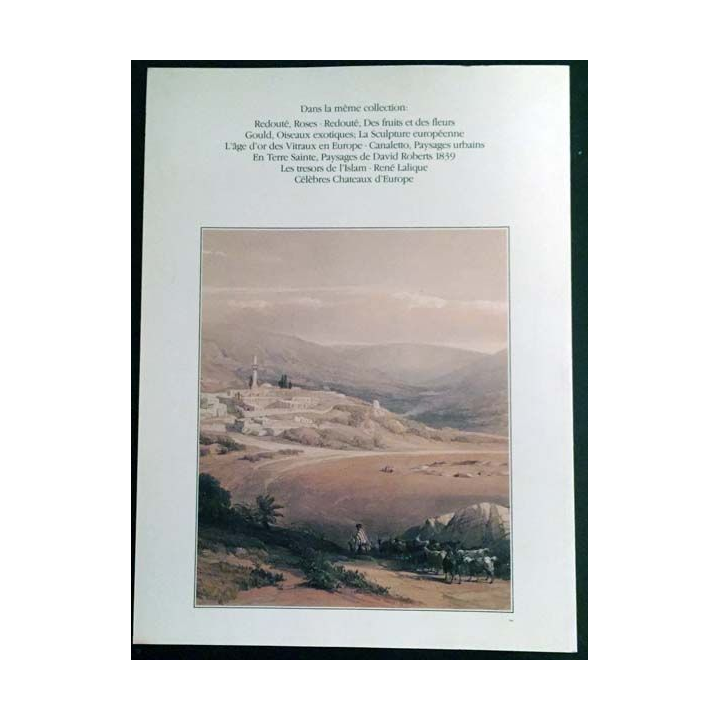 1. En Terre Sainte paysages de David Roberts 1839 de Wolfgang Schuler aux éditions diffusion J. Lazarus