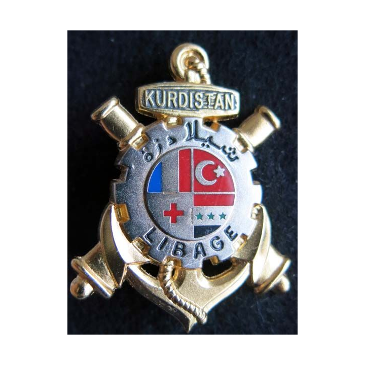 9° RCS : 9° régiment de commandement et de soutien opération LIBAGE DAGUET  Balme