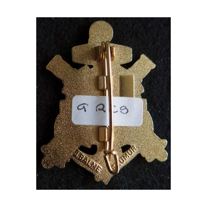 9° RCS : 9° régiment de commandement et de soutien opération LIBAGE DAGUET  Balme
