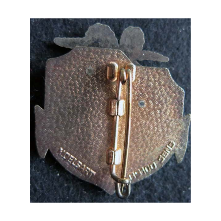 9° RCS : Insigne métallique des EVDR du 9° régiment de commandement et de soutien AUCALEU de fabrication Delsart