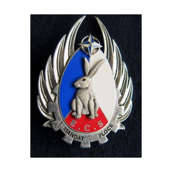 BFS ECS : escadron de commandement et de soutien du bataillon français de soutien de l' IFOR PLOCE Boussemart