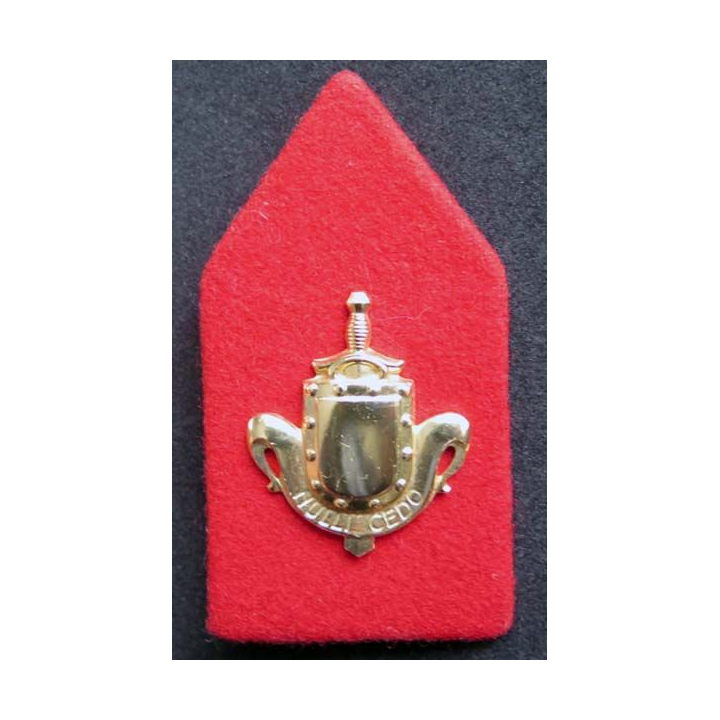 INFANTERIE NERLANDAISE 