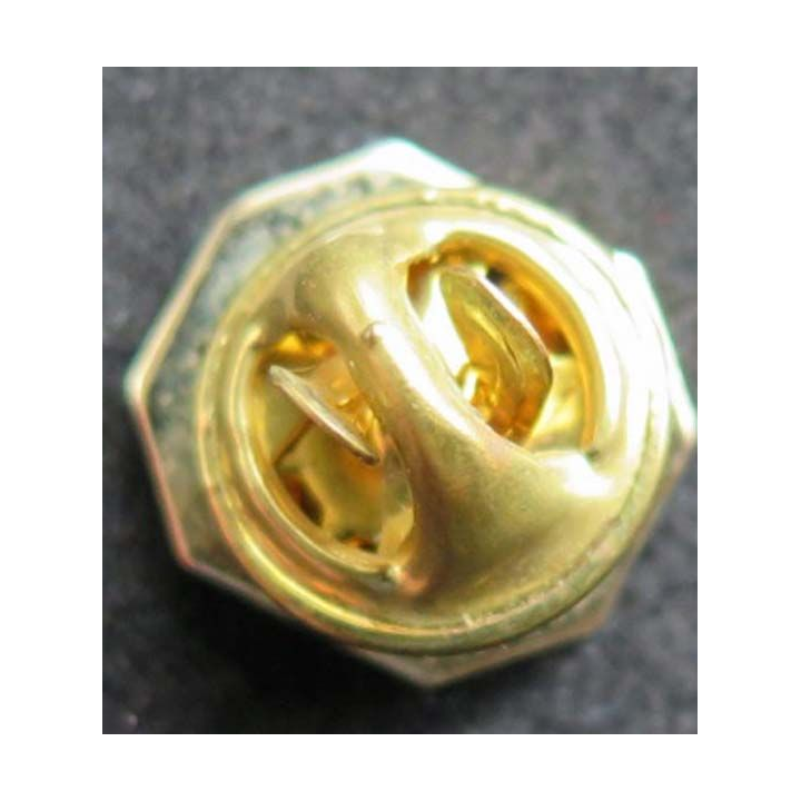 Pin's inconnu