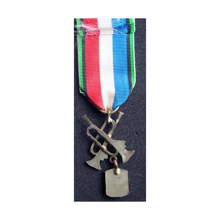 FRANCE : Médaille des vétérans tambours et trompettes