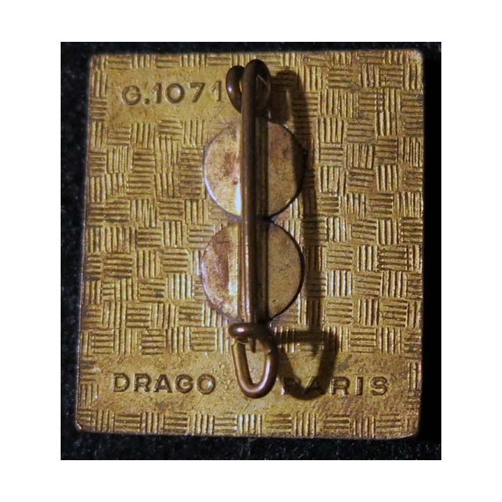 29° DI :29° division d’infanterie Drago Paris G. 1071 en relief et en émail
