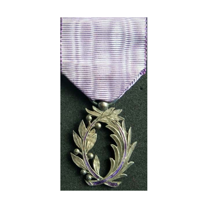 FRANCE : médaille de chevalier de l'Ordre des Palmes Académiques modèle luxe superbe