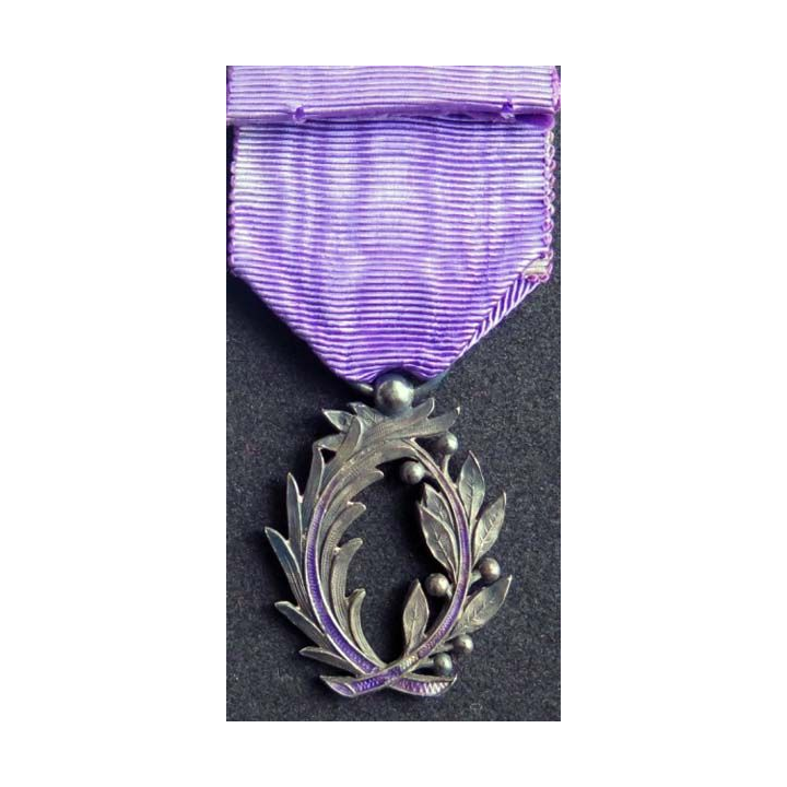 FRANCE : médaille de chevalier de l'Ordre des Palmes Académiques modèle luxe superbe