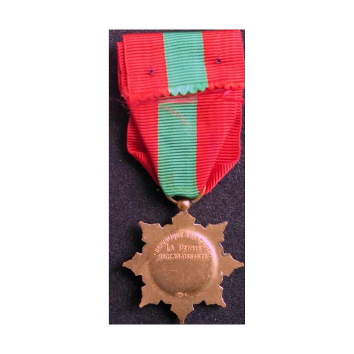 FRANCE médaille d'or de la famille française la Patrie reconnaissante