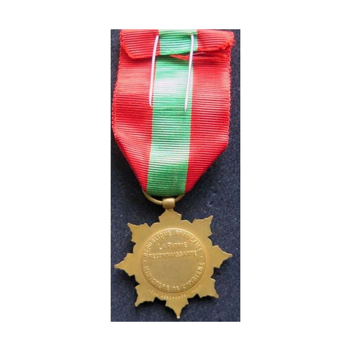 FRANCE :  médaille d'or de la famille française la Patrie reconnaissante en bronze doré
