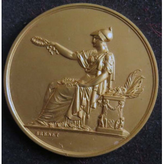 médaille société industrielle de l'Est attribuée MICHE Benjamin Brenet