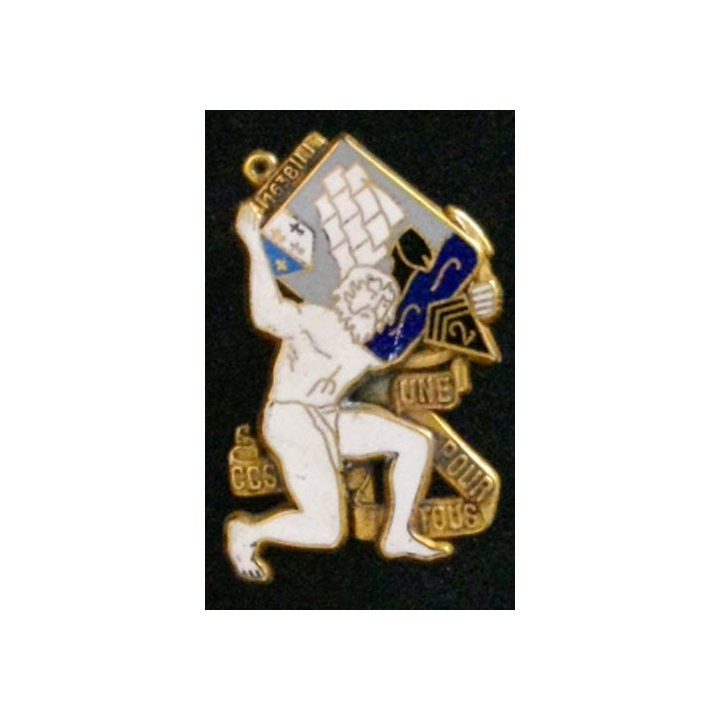 Compagnie de commandement et des services CCS du 2° RIMA