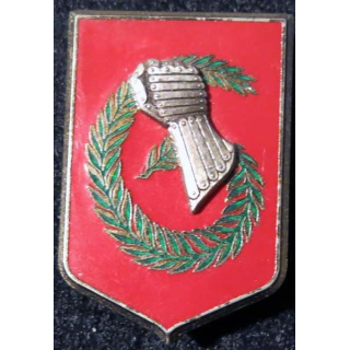 6° DLB : 6° division légère blindée Delsart G. 3165 en relief