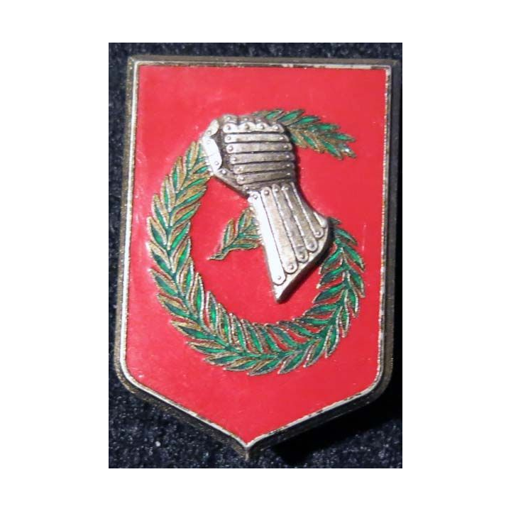 6° DLB : 6° division légère blindée Delsart G. 3165 en relief
