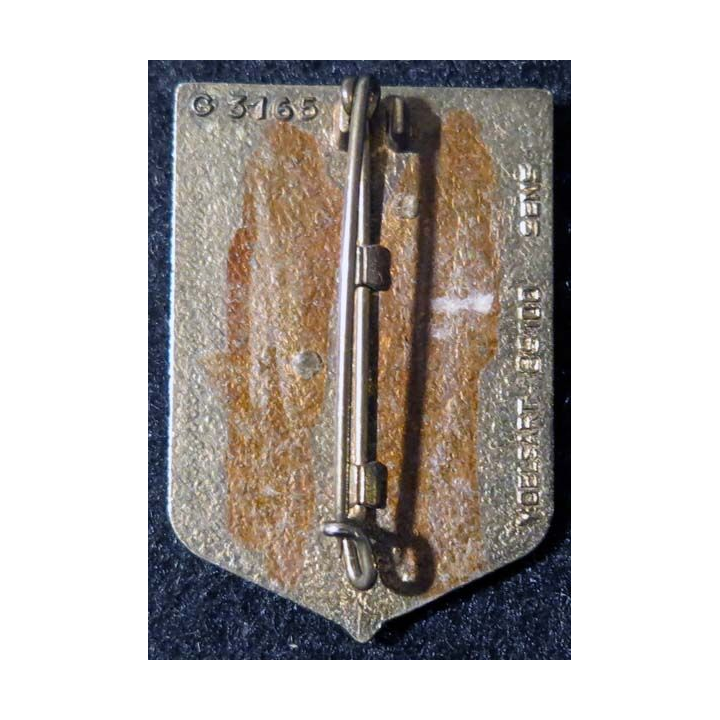 6° DLB : 6° division légère blindée Delsart G. 3165 en relief