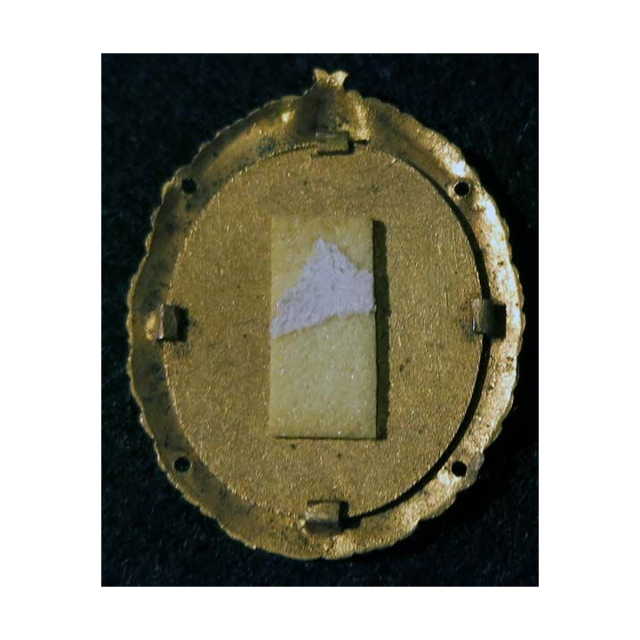 BREVET: Insigne métallique du brevet de chef de section d'infanterie type 1 fond en émail 43 mm 