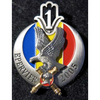 1° régiment de tirailleurs opération Epervier au Tchad 2005 Arthus Bertrand