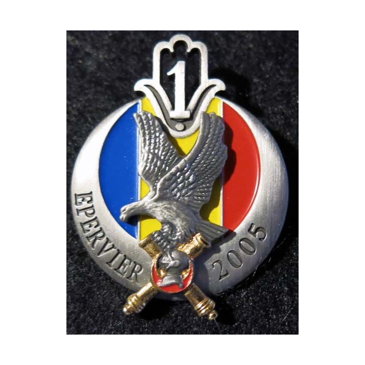 1° régiment de tirailleurs opération Epervier au Tchad 2005 Arthus Bertrand